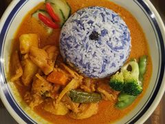 马来咖喱鸡饭-马来MO简餐.南洋风味料理(美食街店)