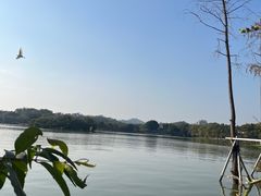 -惠州西湖