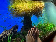 -太平洋海底世界