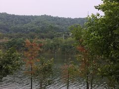 -凤岗南门山森林公园