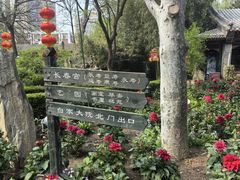 -白家大院·王府宫廷菜(苏州街店)