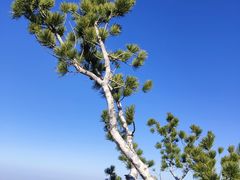 -少华山国家森林公园