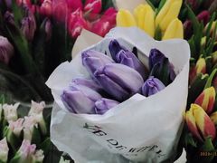 -双季花艺园艺市场(浦东店)