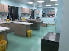 -北京观赏动物医院·24小时大型综合·猫专科·异宠专科