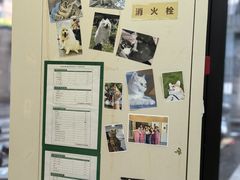 -爱妮康宠物医院·干细胞免疫细胞·肿瘤·心脏(张江店)