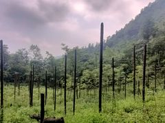 -龙窝子