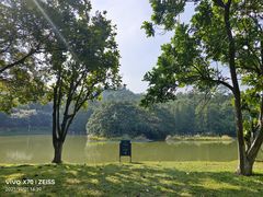 -番禺大夫山森林公园