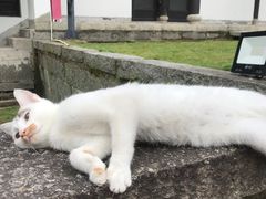 -白鹿洞书院
