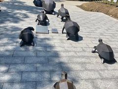 -广东惠东海龟国家级自然保护区