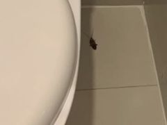 -上海北方智选假日酒店