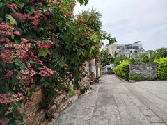 -三溪村