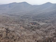 -皇藏峪国家森林公园