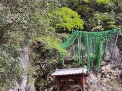 -秦岭天竺山生态文化旅游景区