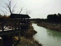 -中国扬子鳄村