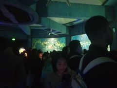 -海合安武汉极地海洋公园
