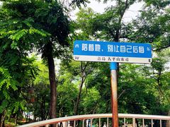 -青岛中山公园-索道售票处