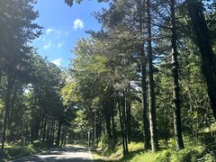 -洛阳白云山景区