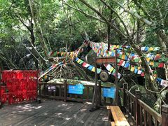 -七仙岭温泉国家森林公园