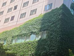 -香宫中餐厅·大连香格里拉(人民路店)