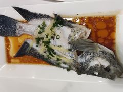 清蒸花斑鱼-精致顺德菜(琶洲店)