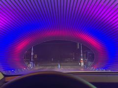 -枫花园汽车电影院(朝阳公园店)