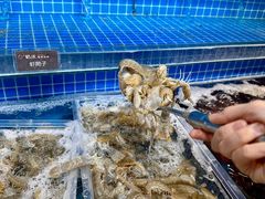 -乔哥铭洋海鲜自助(皇城恒隆广场店)