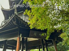 -杭州半山国家森林公园