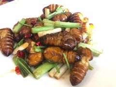 -南山鲜虾面·活鲜小馆·海味大连菜(南山总店)