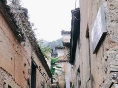 -杨家堂村