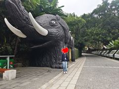 -野象谷景区