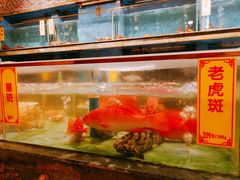 -龙泉海鲜酒楼(龙昆南路店)