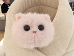 -鹰巢数码·EAGLE’S NEST(SKP店)