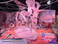 -正佳自然科学博物馆