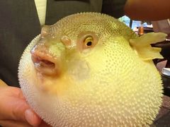 -永安鱼庄·镇江菜(东吴路店)