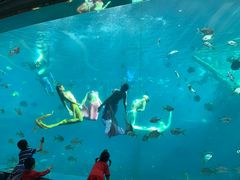 -瑞德姆美人鱼海底演艺主题餐厅(亚龙湾店)