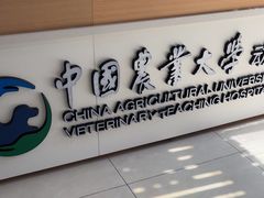 -中国农业大学动物医院