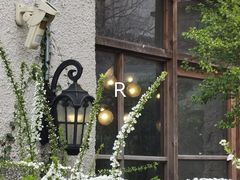 -Jo's Garden