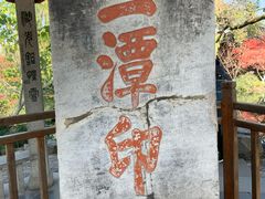 -西湖游船