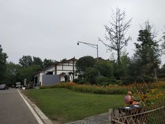 -桤木河湿地公园