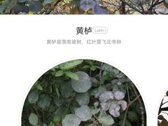 -周口店坡峰岭风景区