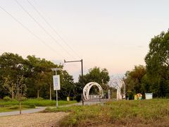 -菊园百果园