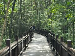 -汤旺河林海奇石景区