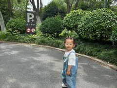 -合肥滨湖国家森林公园