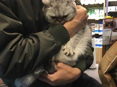-PETKIT小佩宠物(古北店)