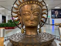 -英迪拉·甘地国际机场