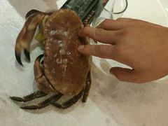 android_upload_pic-李老爹香辣蟹(宣武门店)