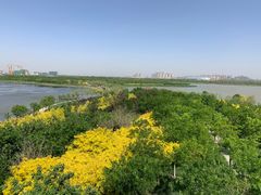 -天津东丽湖风景区