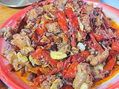 -柴窝堡22号辣子鸡·传承新疆菜