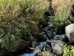 -苍山感通索道