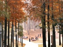 -四海公园(南山区)